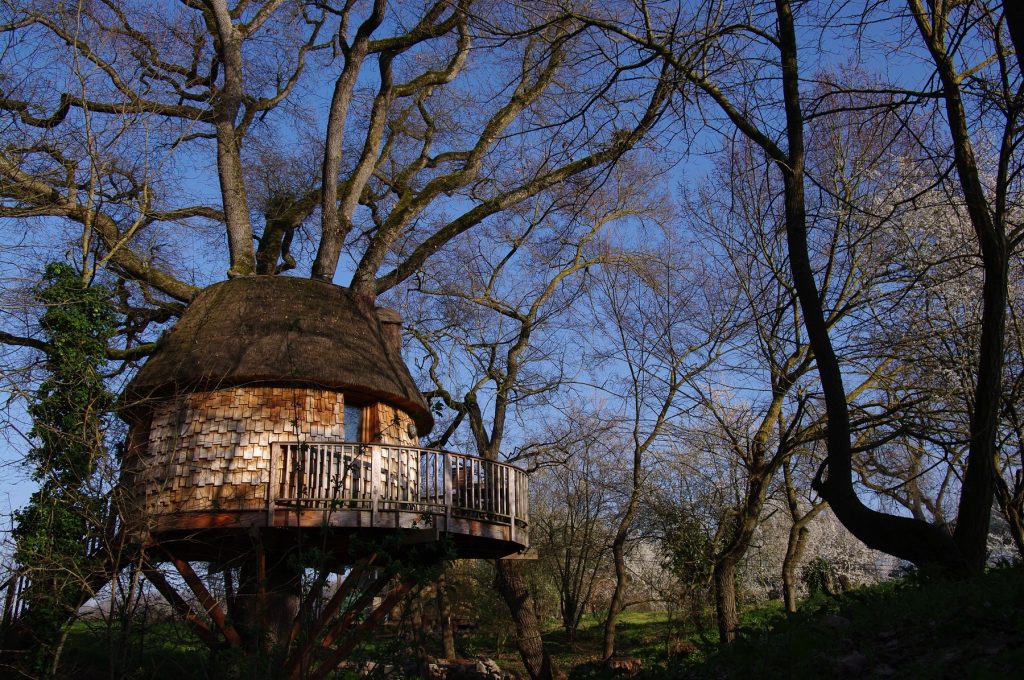 Cabane dans les arbres